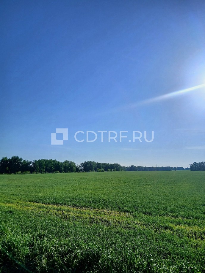 Фото 1